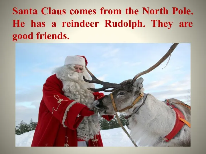 Santa Claus comes from the North Pole. He has a reindeer Rudolph. They are good friends.