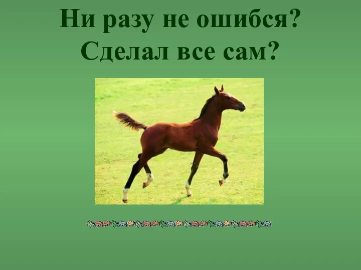 Ни разу не ошибся? Сделал все сам?