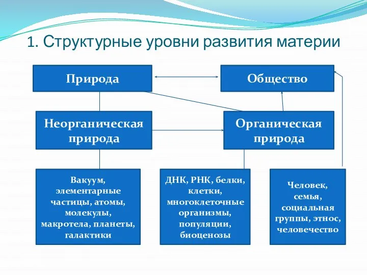 1. Структурные уровни развития материи Природа Общество Неорганическая природа Органическая природа Вакуум,