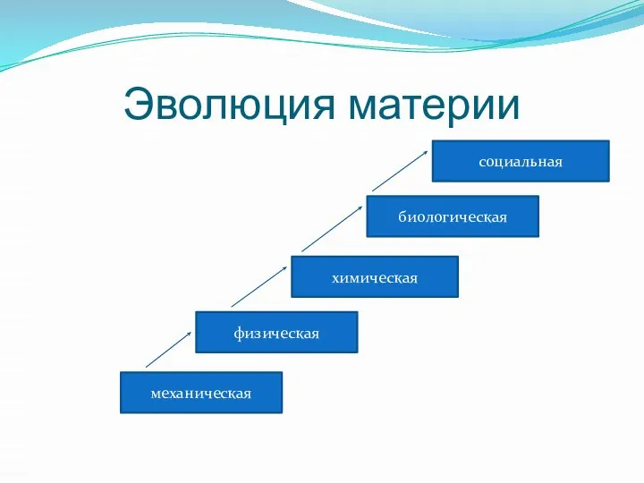 Эволюция материи социальная биологическая химическая физическая механическая