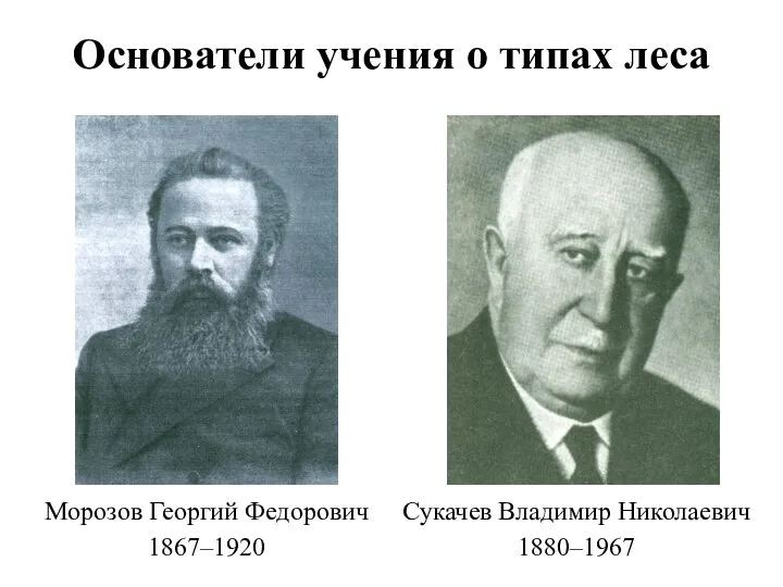 Основатели учения о типах леса Морозов Георгий Федорович 1867–1920 Сукачев Владимир Николаевич 1880–1967