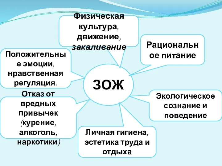 ЗОЖ Рациональное питание Экологическое сознание и поведение Личная гигиена, эстетика труда и