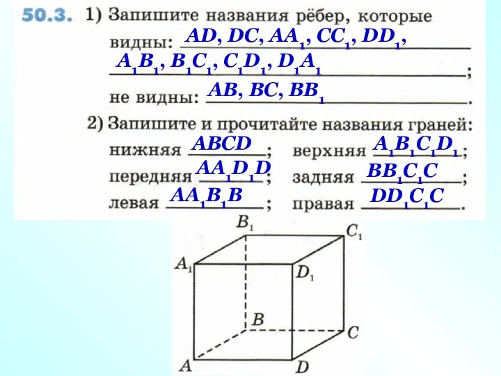 АD, DC, АА1, СС1, DD1, А1В1, В1С1, С1D1, D1А1 АВ, ВC, ВВ1