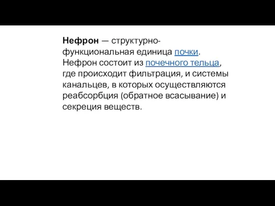 Нефрон — структурно-функциональная единица почки. Нефрон состоит из почечного тельца, где происходит