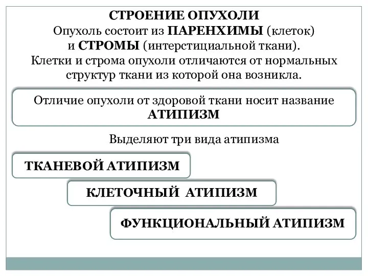 ФУНКЦИОНАЛЬНЫЙ АТИПИЗМ СТРОЕНИЕ ОПУХОЛИ ТКАНЕВОЙ АТИПИЗМ КЛЕТОЧНЫЙ АТИПИЗМ Отличие опухоли от здоровой