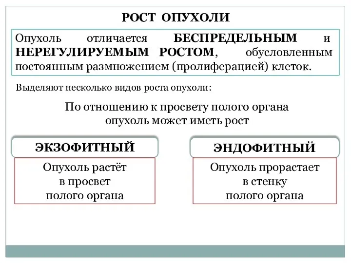 РОСТ ОПУХОЛИ Выделяют несколько видов роста опухоли: По отношению к просвету полого