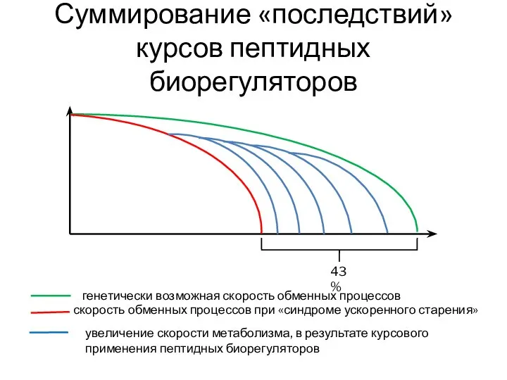 Суммирование «последствий» курсов пептидных биорегуляторов генетически возможная скорость обменных процессов скорость обменных