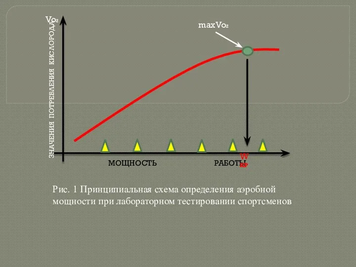 Рис. 1 Принципиальная схема определения аэробной мощности при лабораторном тестировании спортсменов Vo2