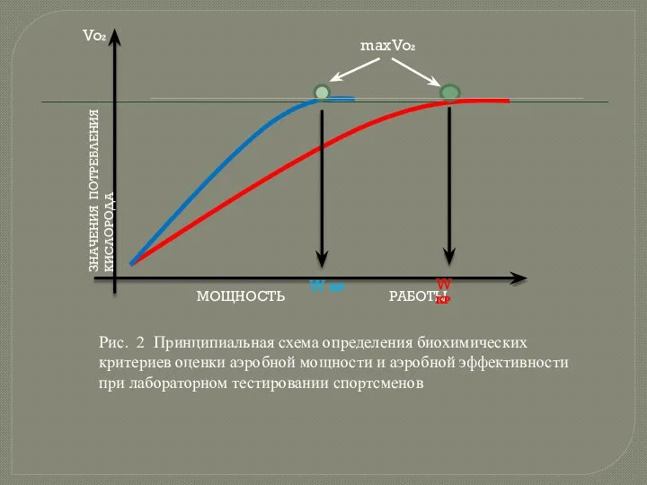 Рис. 2 Принципиальная схема определения биохимических критериев оценки аэробной мощности и аэробной