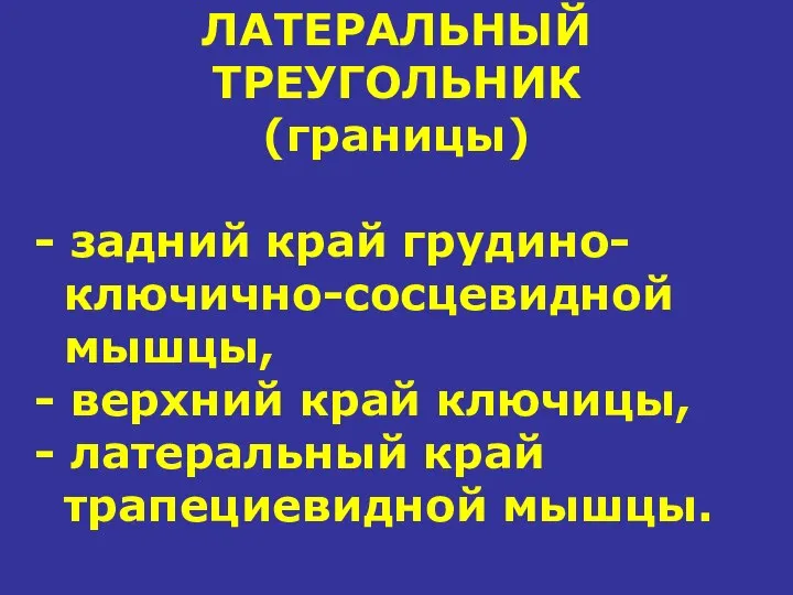 ЛАТЕРАЛЬНЫЙ ТРЕУГОЛЬНИК (границы) - задний край грудино- ключично-сосцевидной мышцы, - верхний край