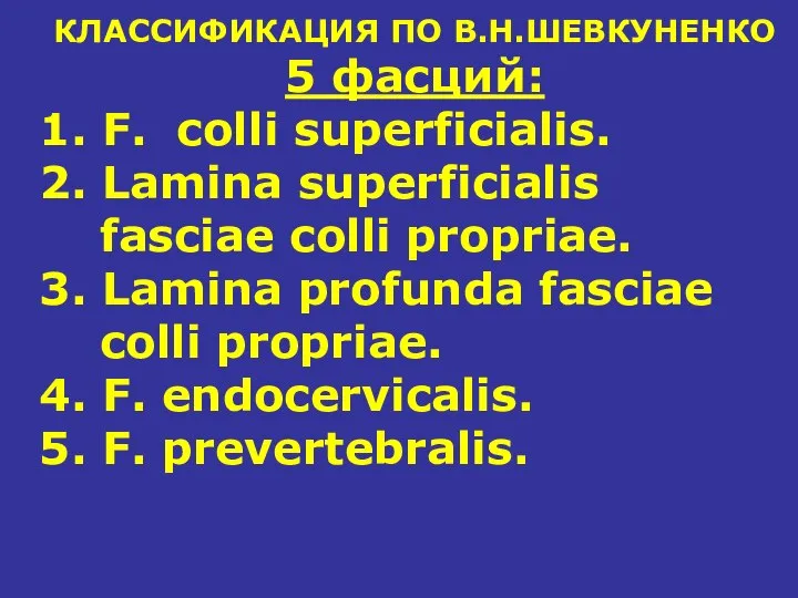 КЛАССИФИКАЦИЯ ПО В.Н.ШЕВКУНЕНКО 5 фасций: 1. F. colli superficialis. 2. Lamina superficialis