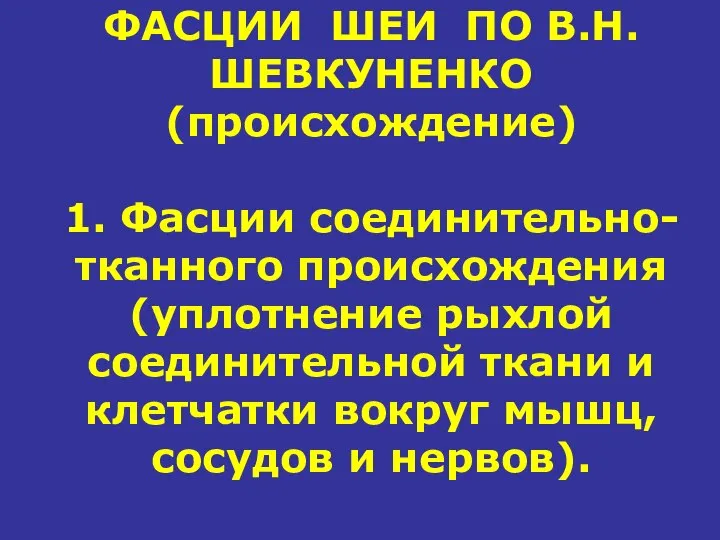 ФАСЦИИ ШЕИ ПО В.Н.ШЕВКУНЕНКО (происхождение) 1. Фасции соединительно-тканного происхождения (уплотнение рыхлой соединительной