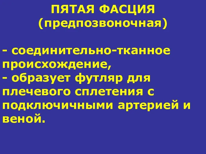 ПЯТАЯ ФАСЦИЯ (предпозвоночная) - соединительно-тканное происхождение, - образует футляр для плечевого сплетения