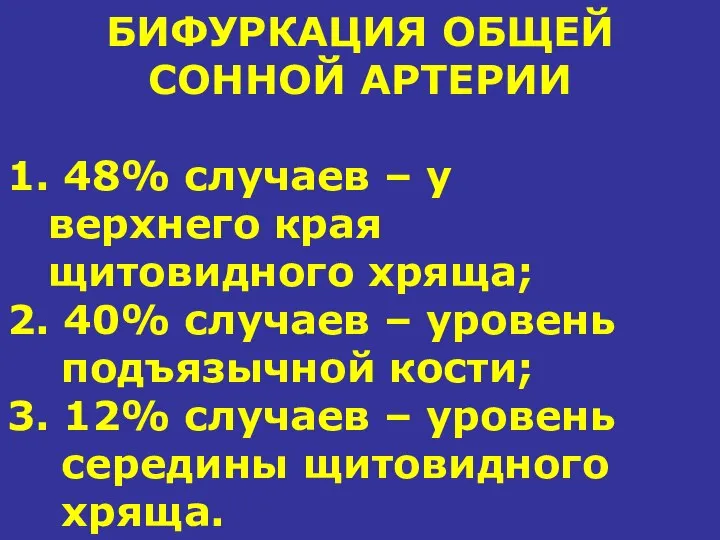 БИФУРКАЦИЯ ОБЩЕЙ СОННОЙ АРТЕРИИ 1. 48% случаев – у верхнего края щитовидного