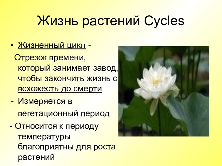 Жизнь растений Cycles Жизненный цикл - Отрезок времени, который занимает завод, чтобы