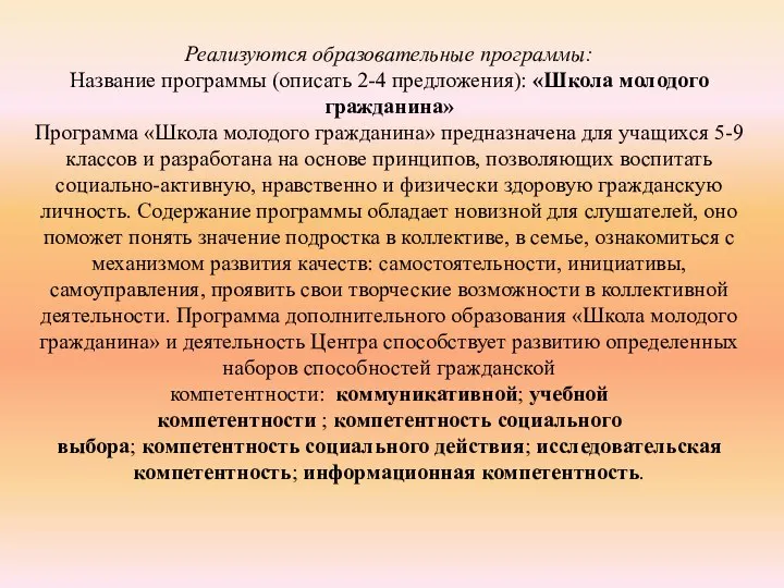 Реализуются образовательные программы: Название программы (описать 2-4 предложения): «Школа молодого гражданина» Программа