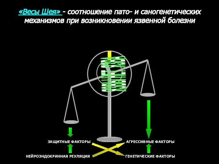 ЯЗВЫ НЕТ ЯЗВА «Весы Шея» - соотношение пато- и саногенетических механизмов при