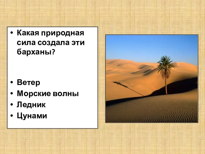 Какая природная сила создала эти барханы? Ветер Морские волны Ледник Цунами