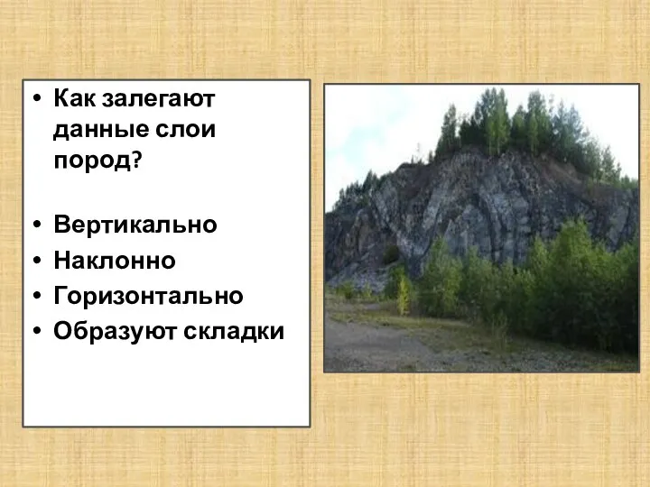 Как залегают данные слои пород? Вертикально Наклонно Горизонтально Образуют складки