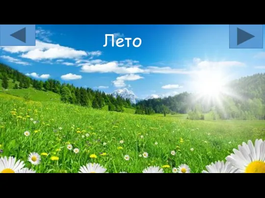 Лето