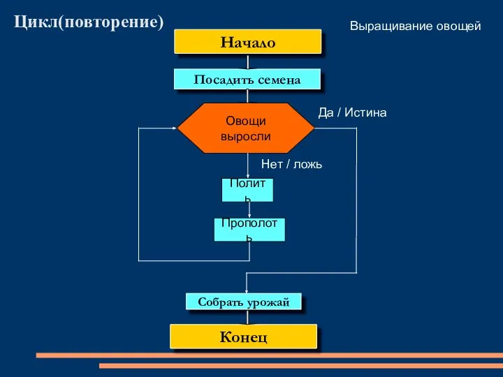 Цикл(повторение) Овощи выросли Полить Выращивание овощей Начало Посадить семена Нет / ложь