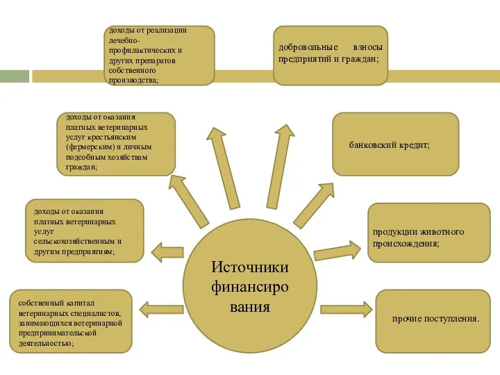 Источники финансирования собственный капитал ветеринарных специалистов, занимающихся ветеринарной предпринимательской деятельностью; доходы от