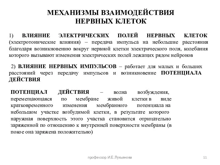 МЕХАНИЗМЫ ВЗАИМОДЕЙСТВИЯ НЕРВНЫХ КЛЕТОК 1) ВЛИЯНИЕ ЭЛЕКТРИЧЕСКИХ ПОЛЕЙ НЕРВНЫХ КЛЕТОК (электротонические влияния)