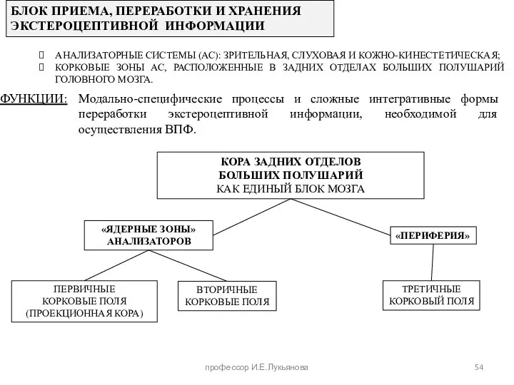 БЛОК ПРИЕМА, ПЕРЕРАБОТКИ И ХРАНЕНИЯ ЭКСТЕРОЦЕПТИВНОЙ ИНФОРМАЦИИ АНАЛИЗАТОРНЫЕ СИСТЕМЫ (АС): ЗРИТЕЛЬНАЯ, СЛУХОВАЯ