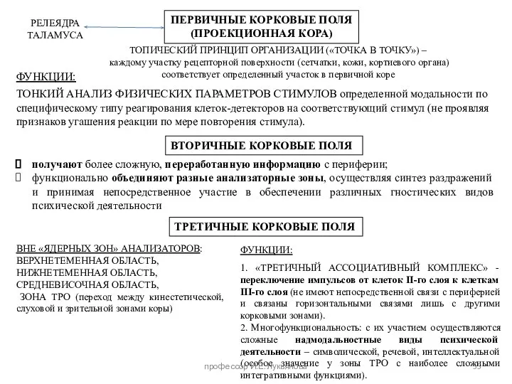 1. «ТРЕТИЧНЫЙ АССОЦИАТИВНЫЙ КОМПЛЕКС» - переключение импульсов от клеток II-го слоя к