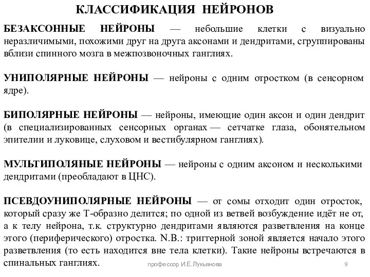 БЕЗАКСОННЫЕ НЕЙРОНЫ — небольшие клетки с визуально неразличимыми, похожими друг на друга