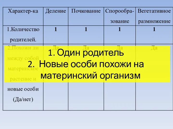 Один родитель Новые особи похожи на материнский организм