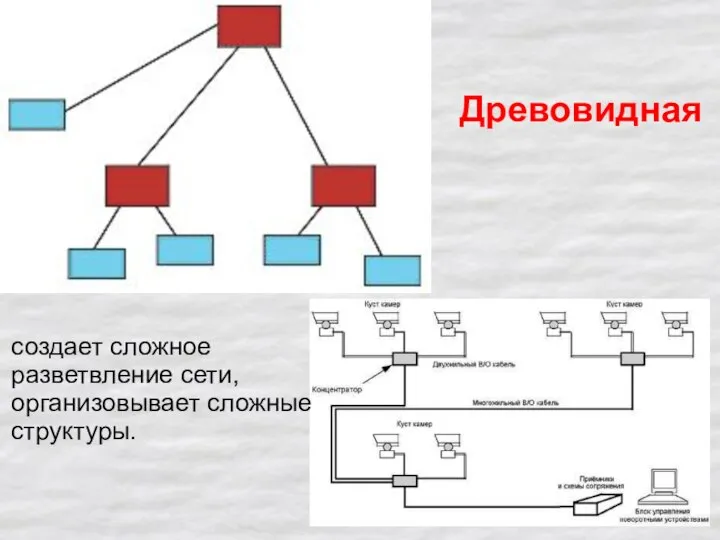 Древовидная создает сложное разветвление сети, организовывает сложные структуры.