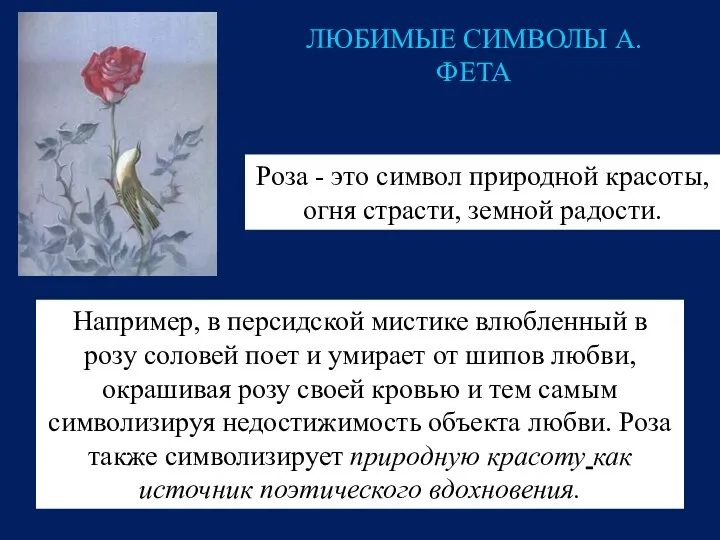 ЛЮБИМЫЕ СИМВОЛЫ А. ФЕТА Роза - это символ природной красоты, огня страсти,