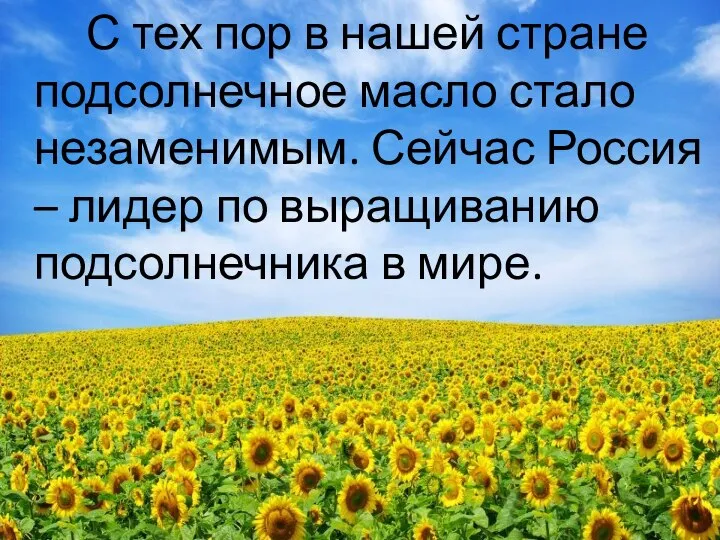 С тех пор в нашей стране подсолнечное масло стало незаменимым. Сейчас Россия