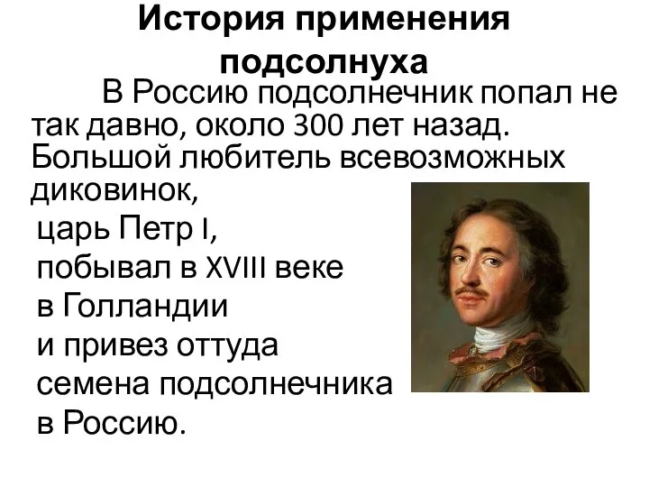 История применения подсолнуха В Россию подсолнечник попал не так давно, около 300