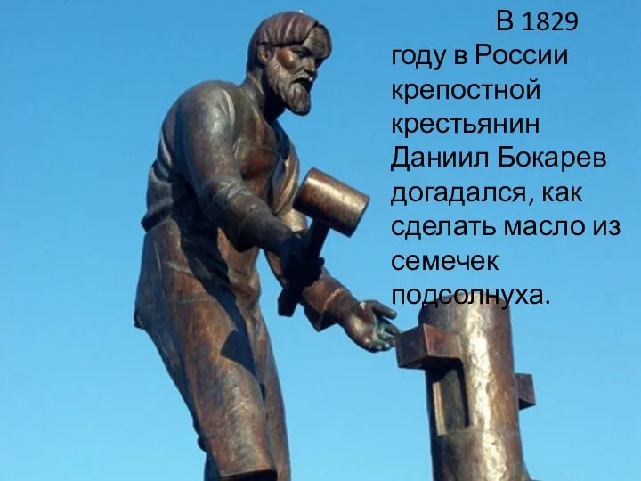 В 1829 году в России крепостной крестьянин Даниил Бокарев догадался, как сделать масло из семечек подсолнуха.