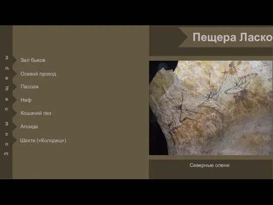 Осевой проход Зал быков Пассаж Неф Кошачий лаз Апсида Шахта («Колодец») Северные олени