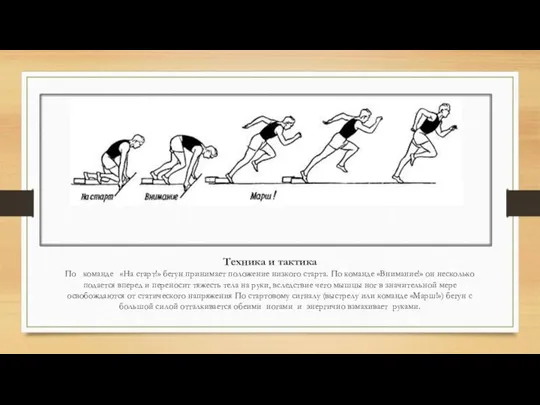Техника и тактика По команде «На старт!» бегун принимает положение низкого старта.
