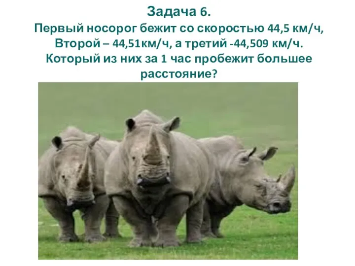 Задача 6. Первый носорог бежит со скоростью 44,5 км/ч, Второй – 44,51км/ч,