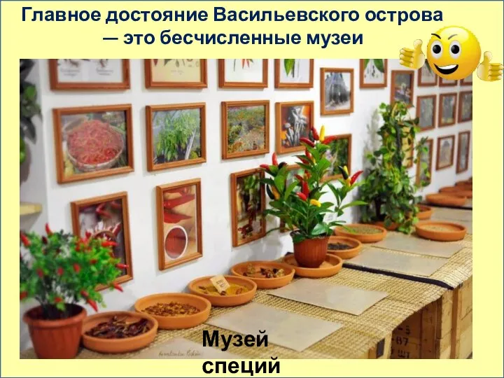 Главное достояние Васильевского острова — это бесчисленные музеи Музей специй