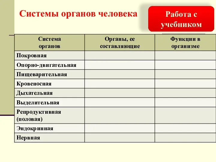 Работа с учебником Системы органов человека