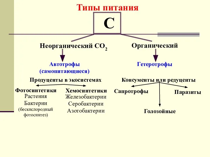 Типы питания Неорганический СО2 Органический Автотрофы (самопитающиеся) Гетеротрофы Продуценты в экосистемах Консументы