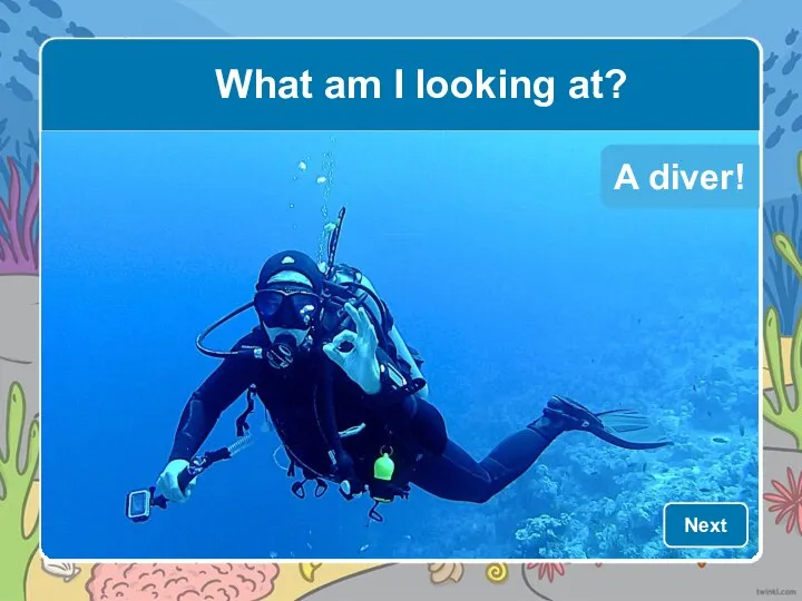 A diver! What am I looking at? Next