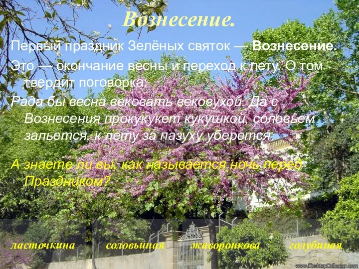 Вознесение. Первый праздник Зелёных святок — Вознесение. Это — окончание весны и