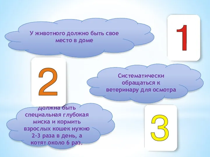 У животного должно быть свое место в доме Систематически обращаться к ветеринару