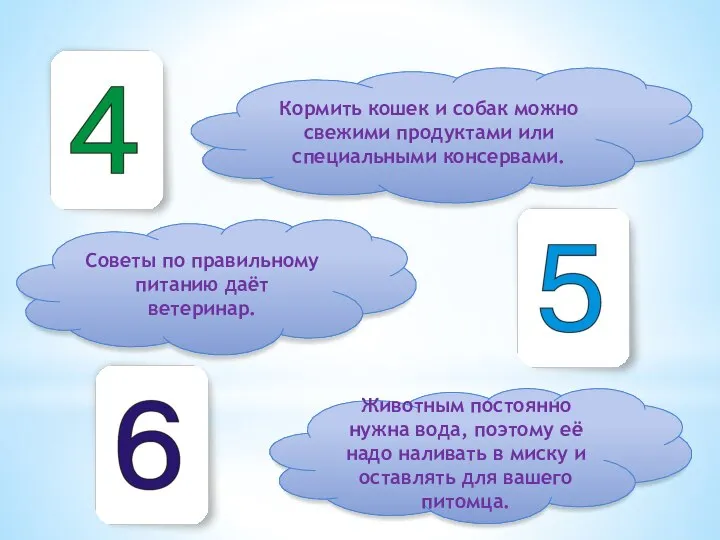 Кормить кошек и собак можно свежими продуктами или специальными консервами. Советы по