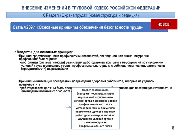 ВНЕСЕНИЕ ИЗМЕНЕНИЙ В ТРУДОВОЙ КОДЕКС РОССИЙСКОЙ ФЕДЕРАЦИИ Статья 209.1 «Основные принципы обеспечения