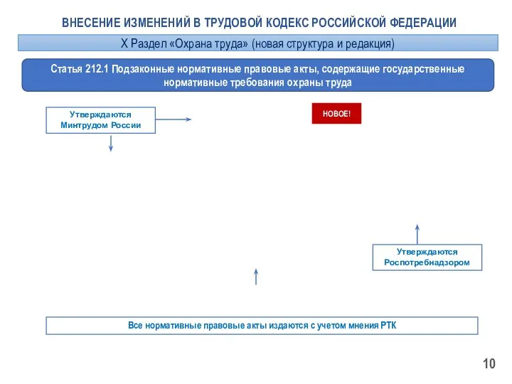 ВНЕСЕНИЕ ИЗМЕНЕНИЙ В ТРУДОВОЙ КОДЕКС РОССИЙСКОЙ ФЕДЕРАЦИИ Статья 212.1 Подзаконные нормативные правовые