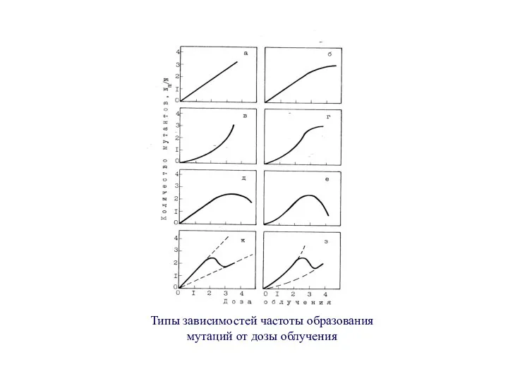 Типы зависимостей частоты образования мутаций от дозы облучения