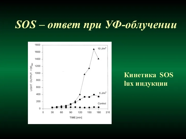 SOS – ответ при УФ-облучении Кинетика SOS lux индукции